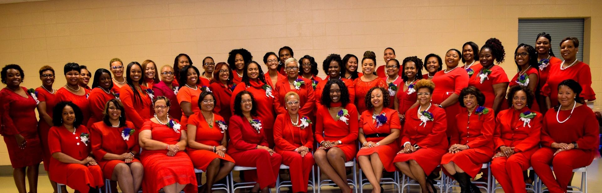 Burlington alumnae chapter delta sigma theta sorority inc home